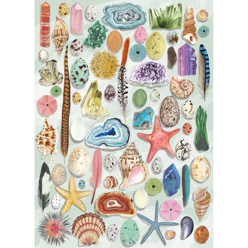 The Art File: Natural Curiosities