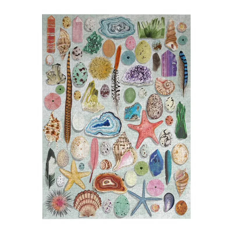 The Art File: Natural Curiosities