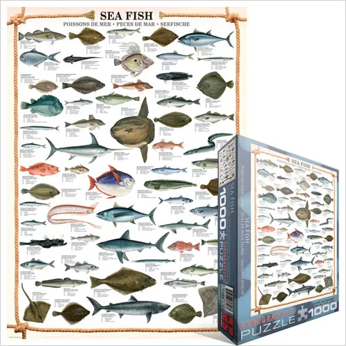 Die Fische