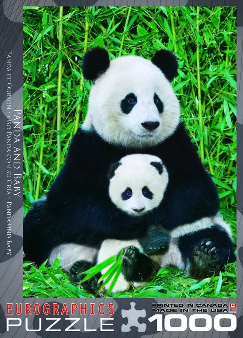 Panda-Familie