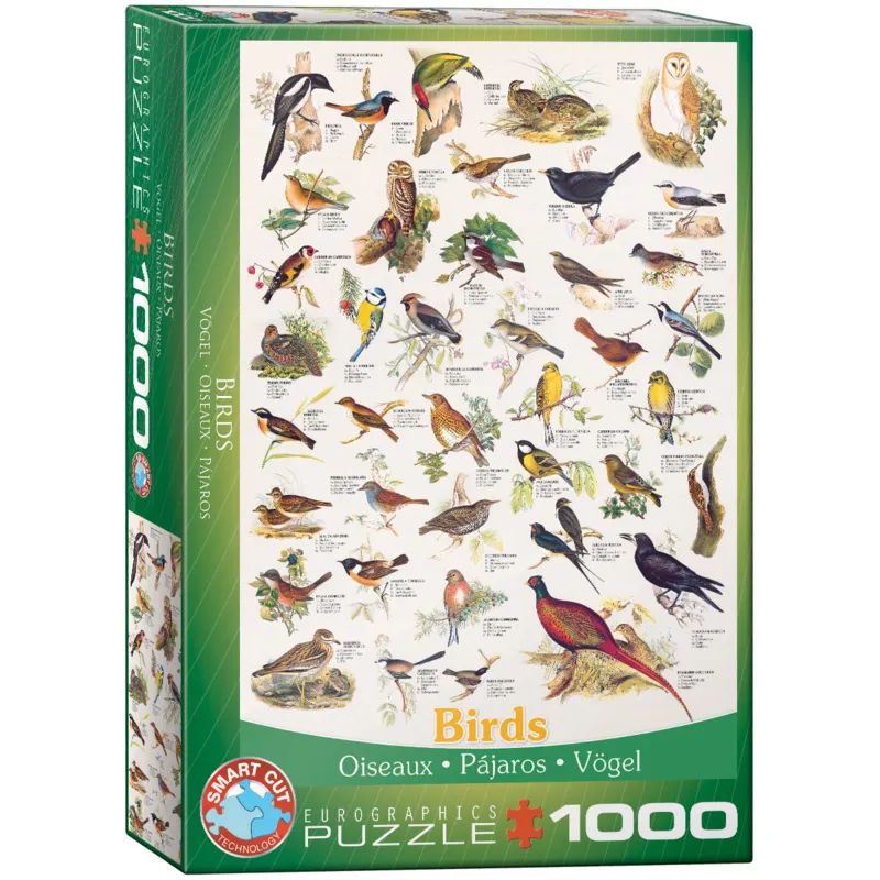 Vögel (englischer Text)