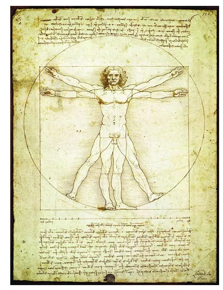 Leonard de Vinci: Der vitruvianische Mensch