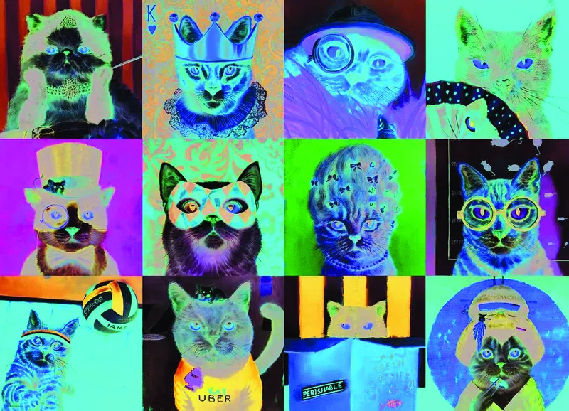 Lustige Katzen