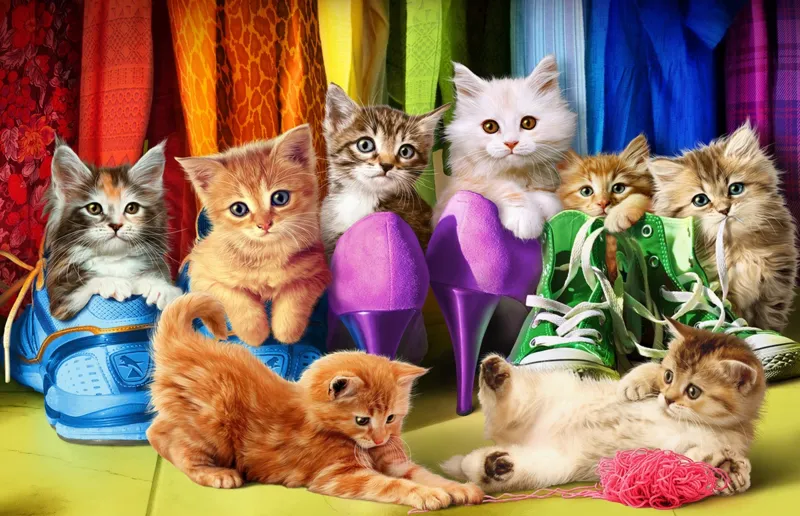 Kitten Pride