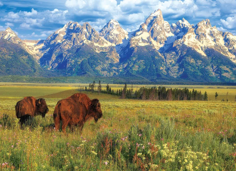 Grand Teton Nationalpark
