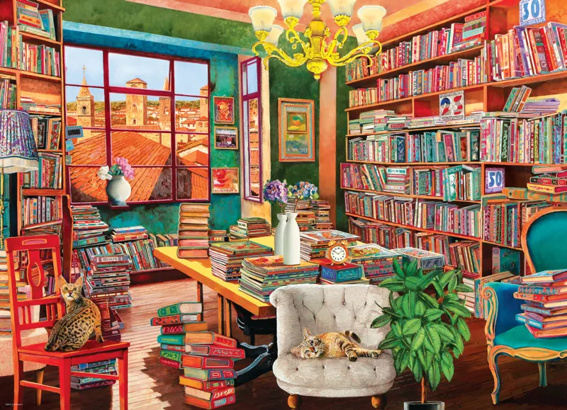 Die alte Bibliothek