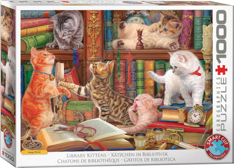 Kätzchen in der Bibliothek