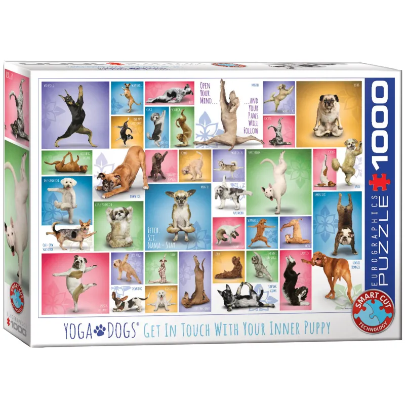 Yoga Dogs