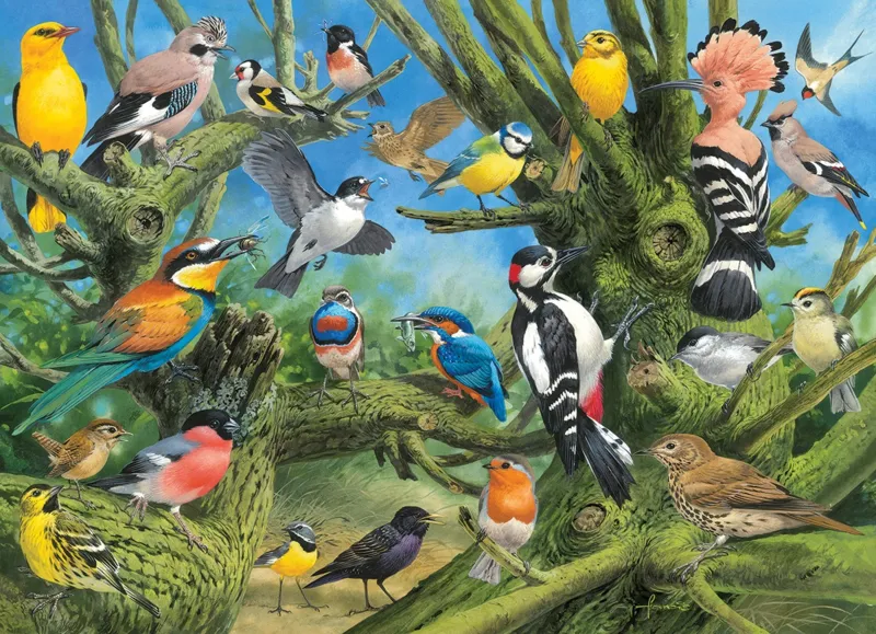 Joahn Francis - Garden Birds