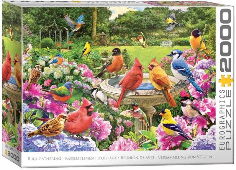 Gartenvögel Treffen