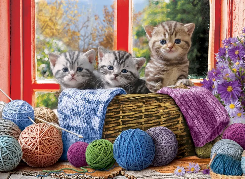 XXL Teile - Knittin' Kittens