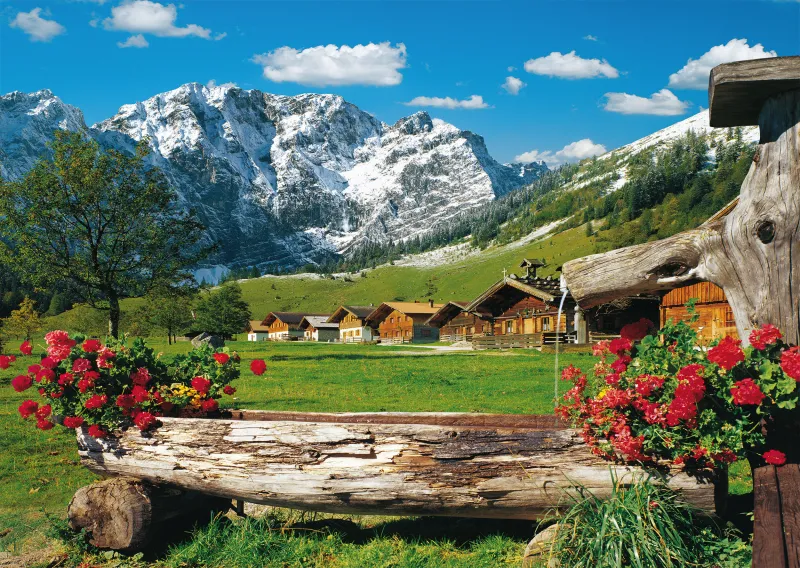Blick ins Bergidyll