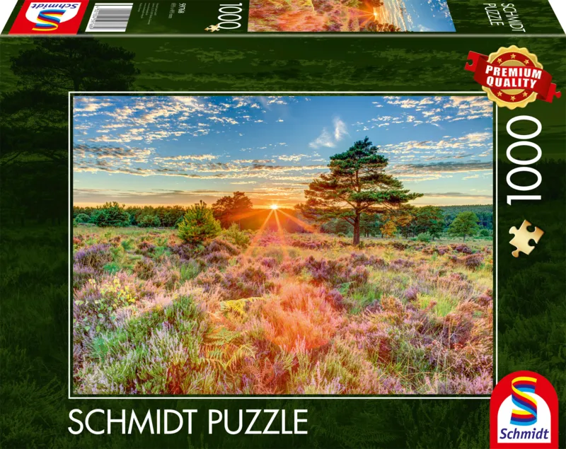 Heide im Sonnenuntergang