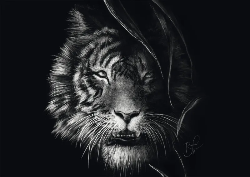 Wilderness - Tiger: Im Zeichen der Freiheit