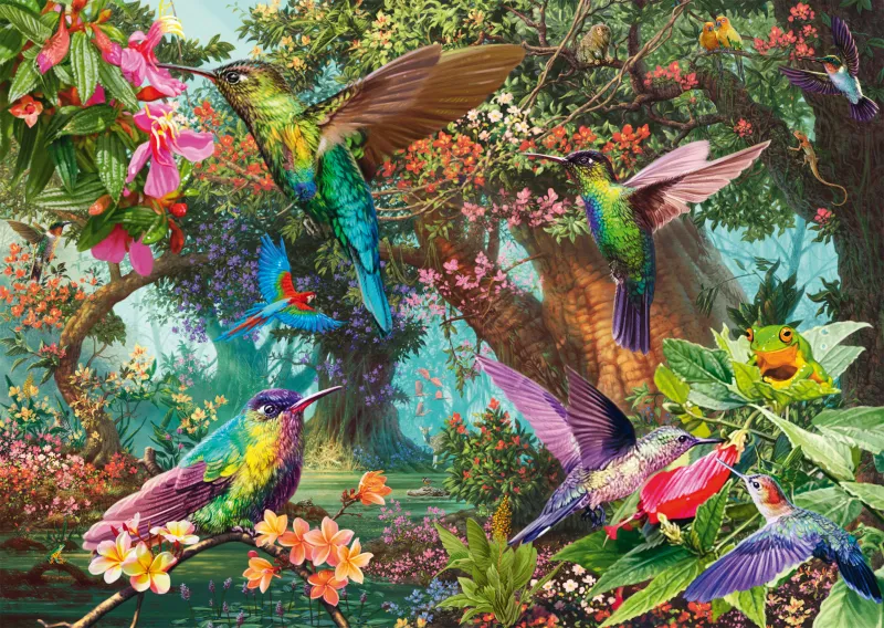 Kolibri-Farbenspiel