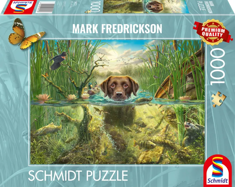 Hundeliebe, Brauner Labrador im Kühlen Nass