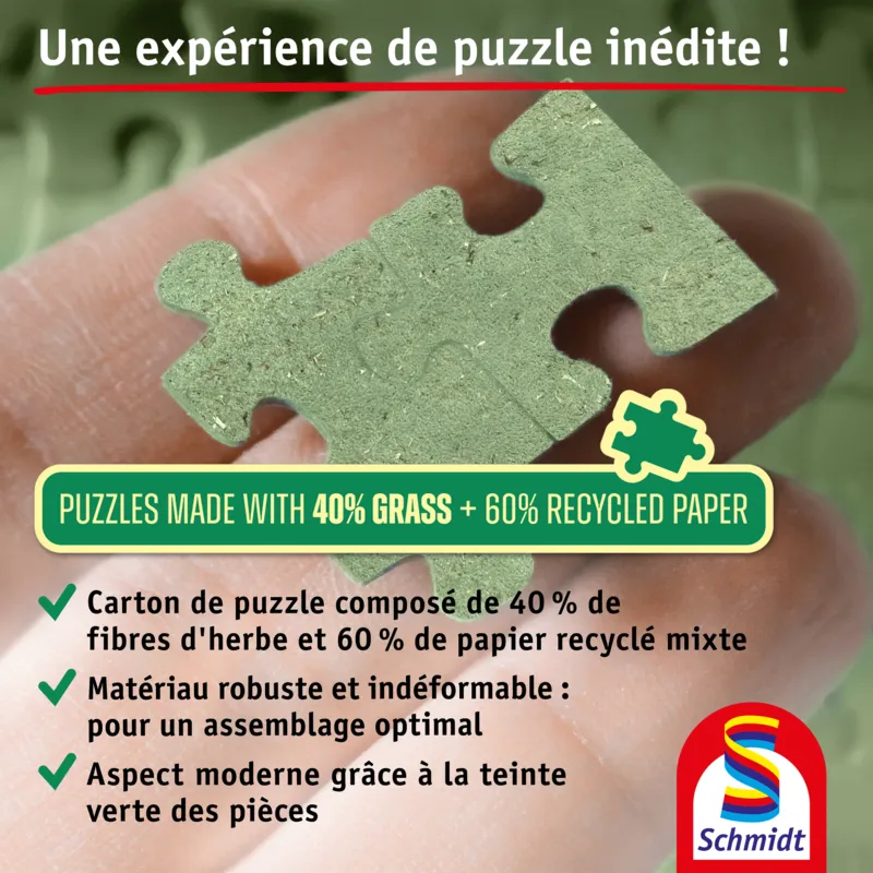 Chat dans une mer de fleurs