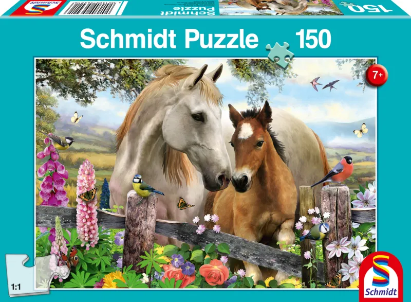 Stute und Fohlen