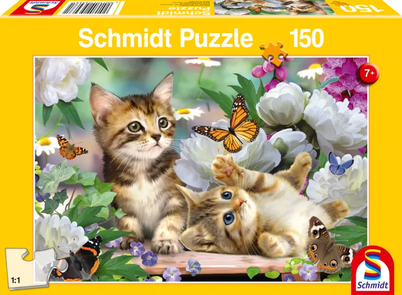 Verspielte Katzenbabies
