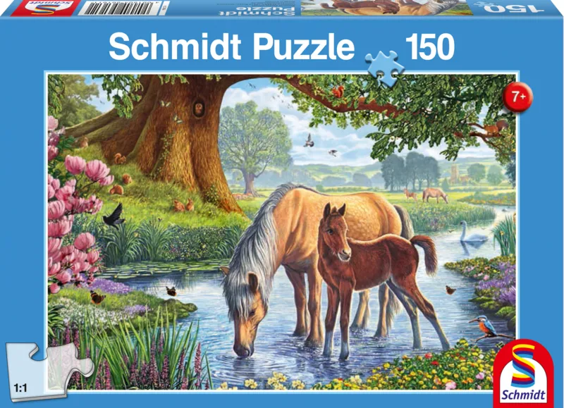 Pferde am Bach