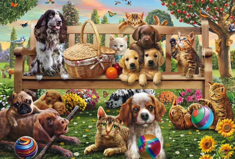 Hunde und Katzen