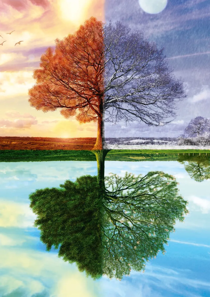 Jahreszeiten Baum