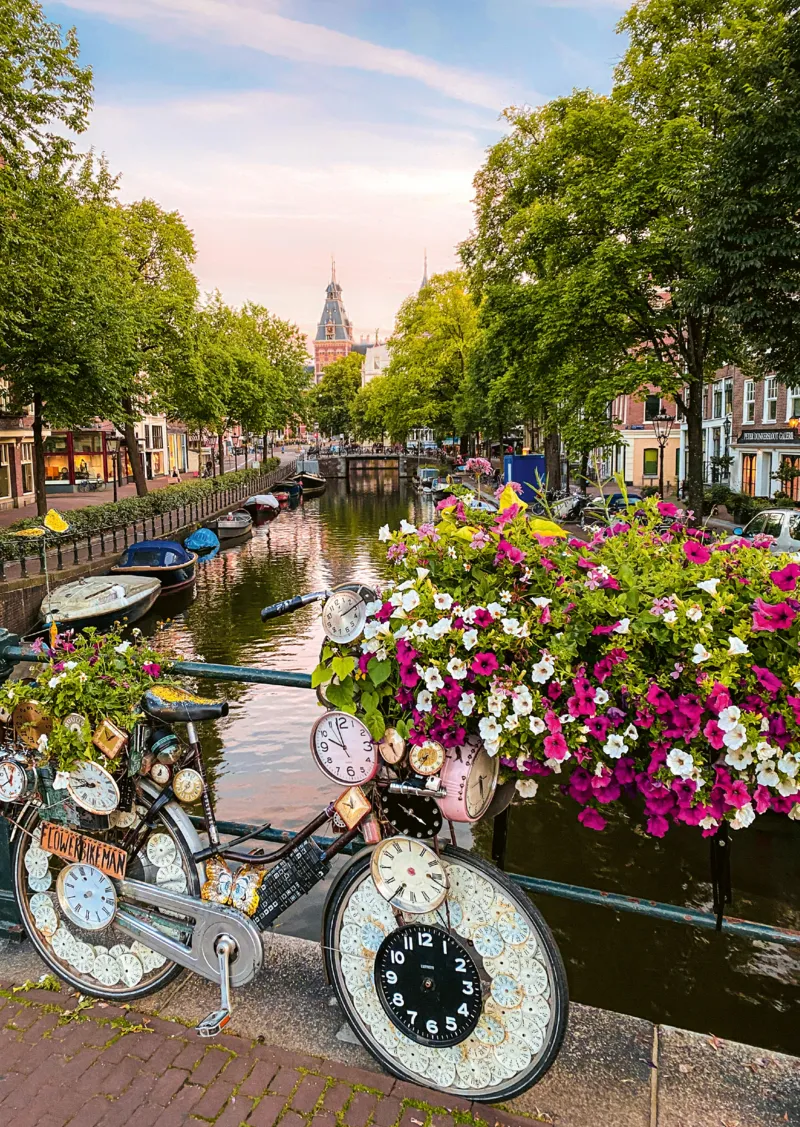Blumen In Amsterdam