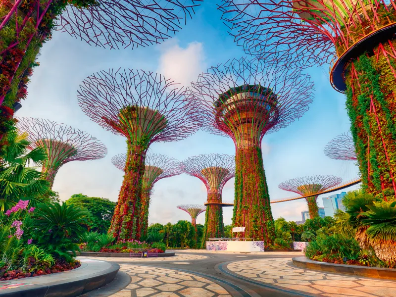 Singapore Bay Garden