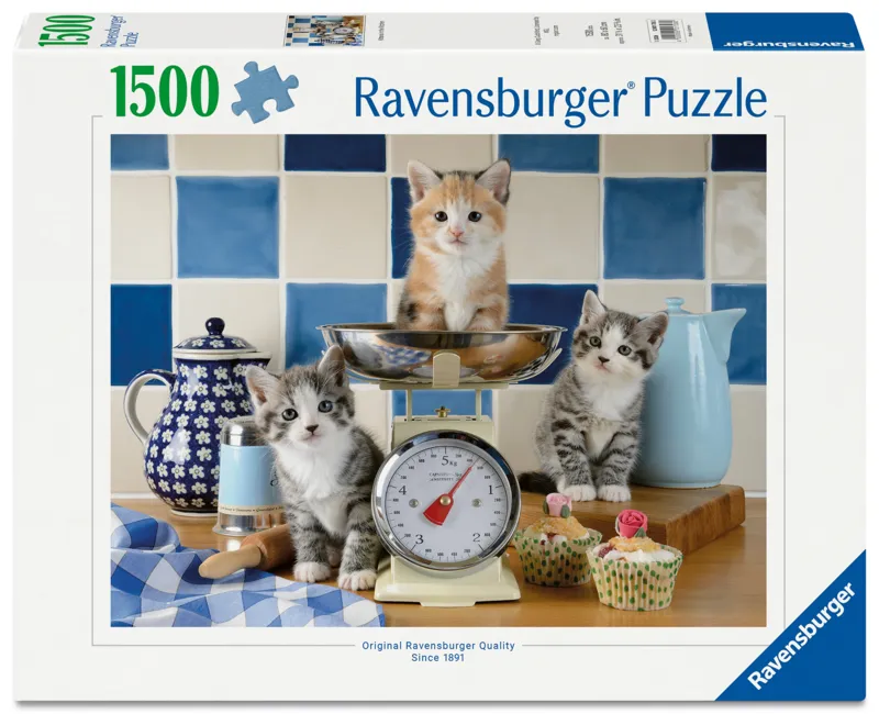 Kätzchen in der Küche