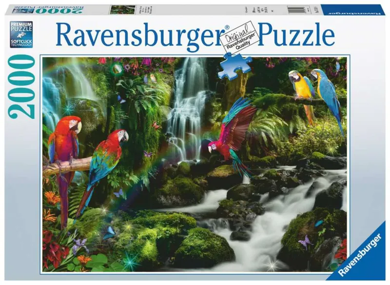 Parrots in the Jungle