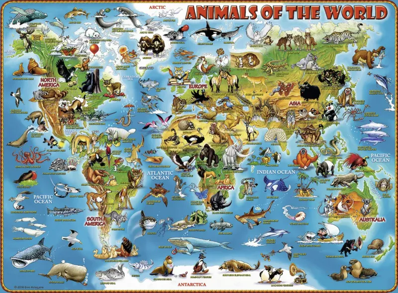 XXL Teile - Tiere rund um die Welt