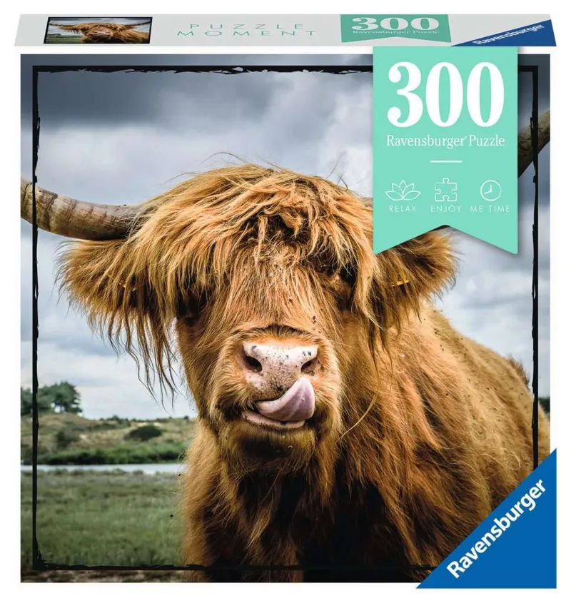 Puzzle Moment - Highland Cattle