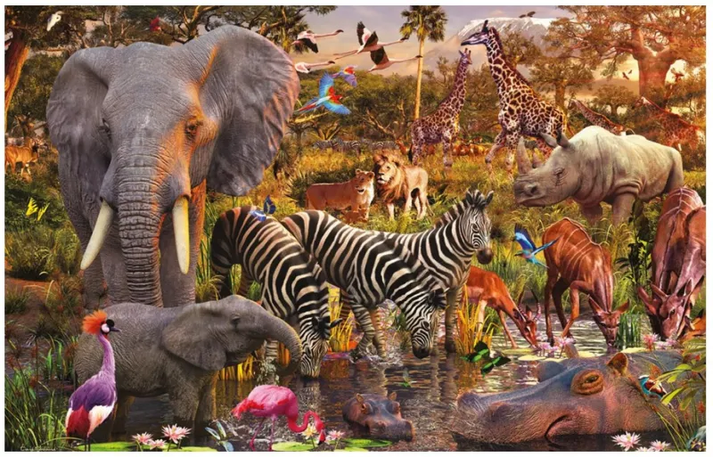 Afrikanische Tierwelt