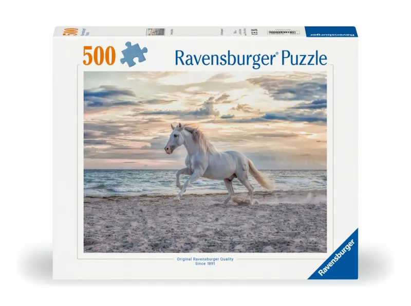Horse on the Beach