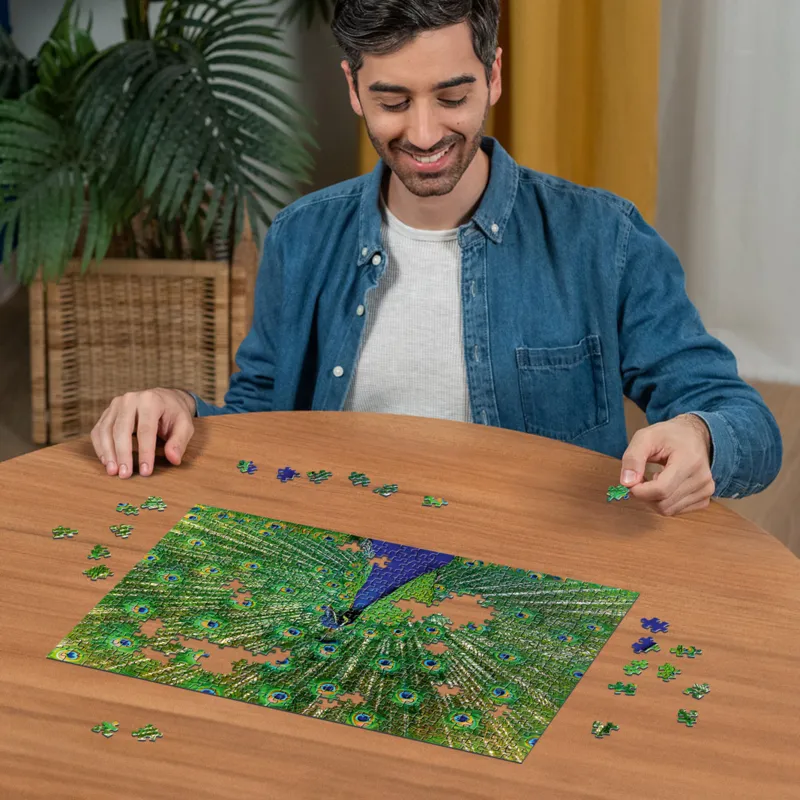 Peacock - Highlight Puzzle - Bunte Tiere
