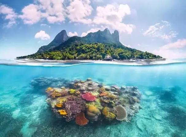 Insel und Korallenwelt