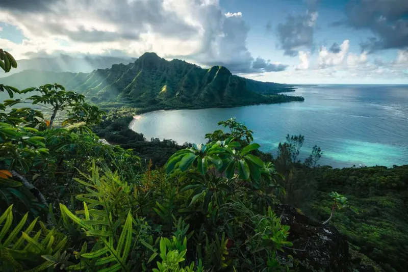 Blick auf Hawaii