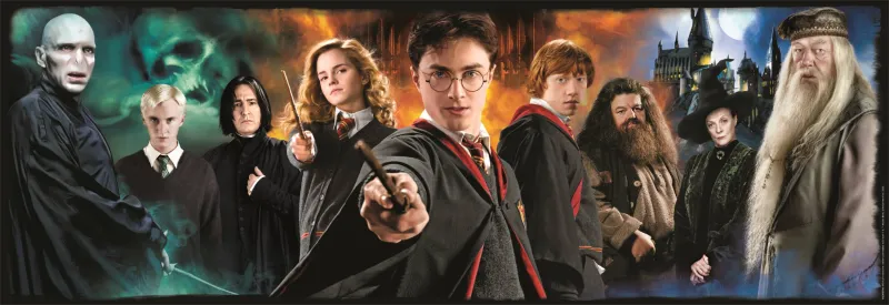 Harry Potter