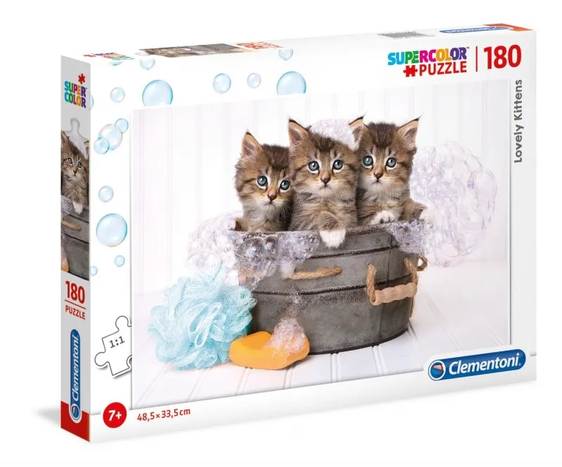 Lovely Kittens