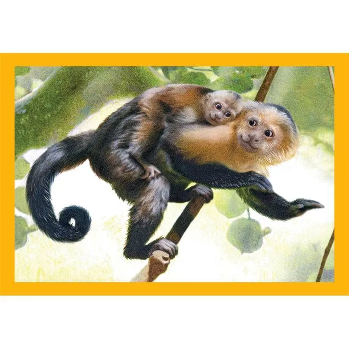 Puzzle 4 En 1 - Mutter und Baby Tiere