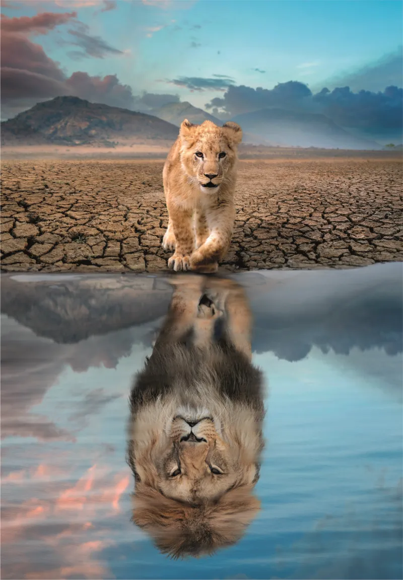 Self Reflection