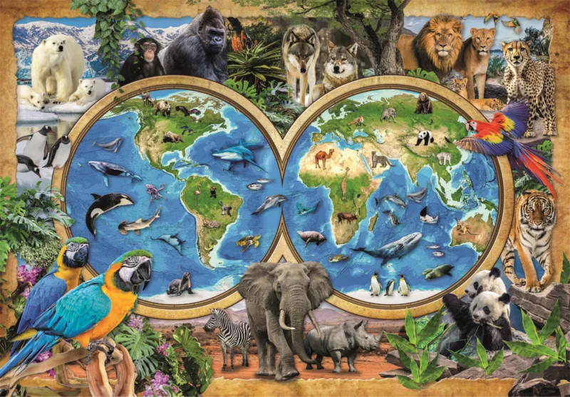 The Wonderful Animal World