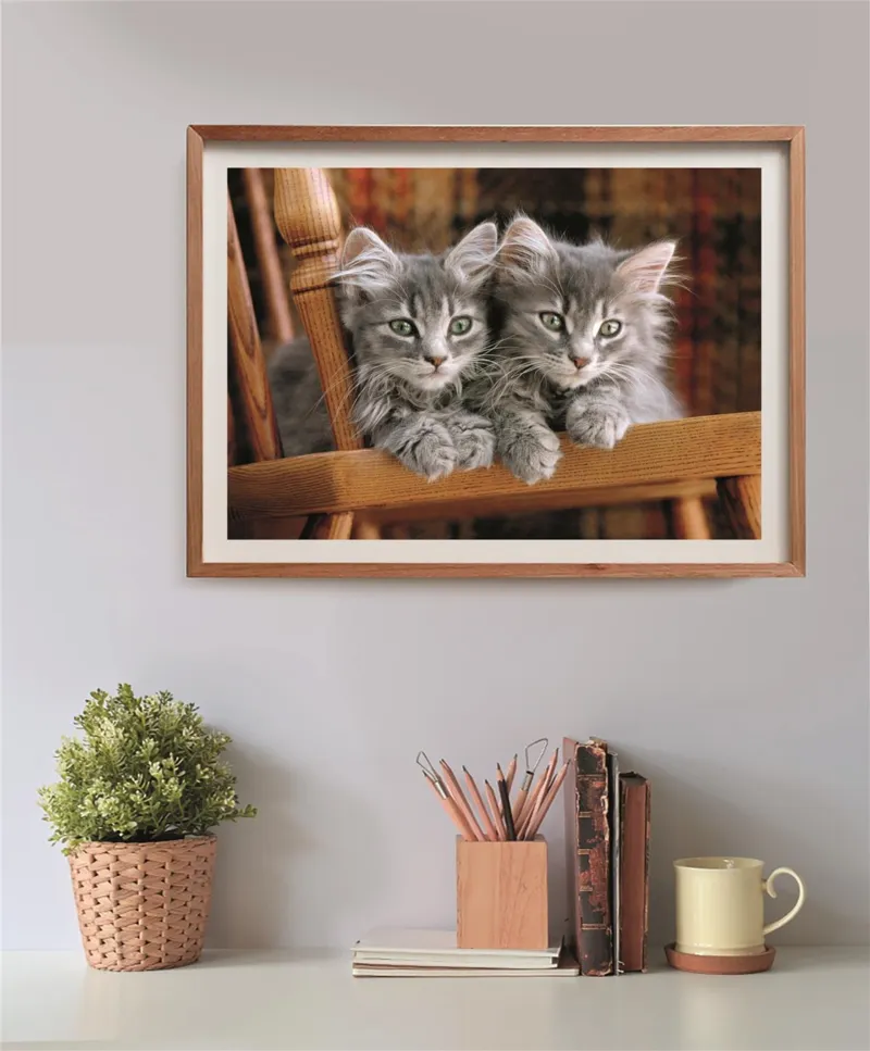 Kittens
