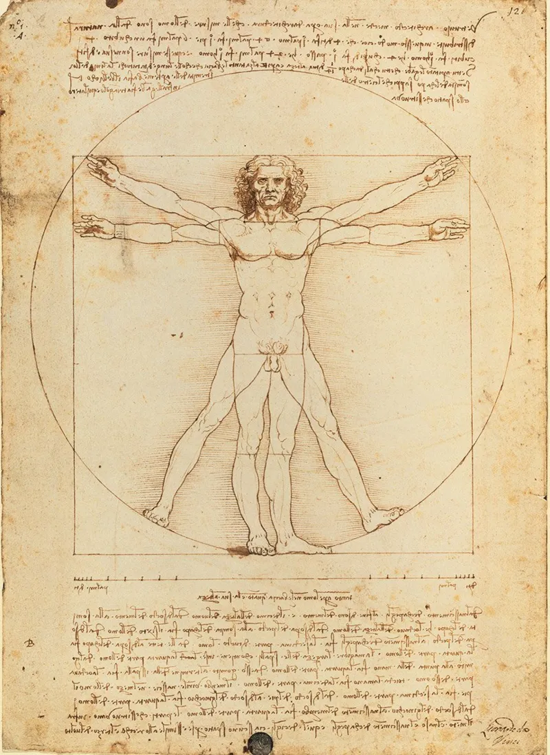 Leonardo da Vinci: Der vitruvianische Mensch