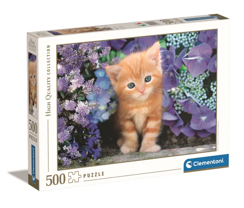 Katze Im Blumenmeer