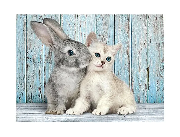 Cat and Bunny
