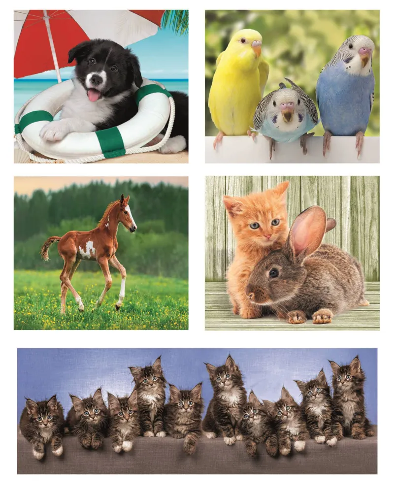 Puzzlebox 10 in 1 - Tierische Freunde