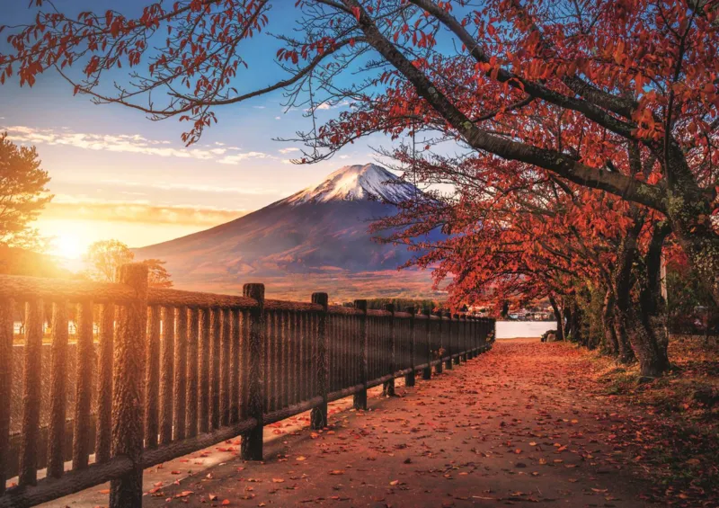 Foto-Odyssee: Mount Fuji , Japan