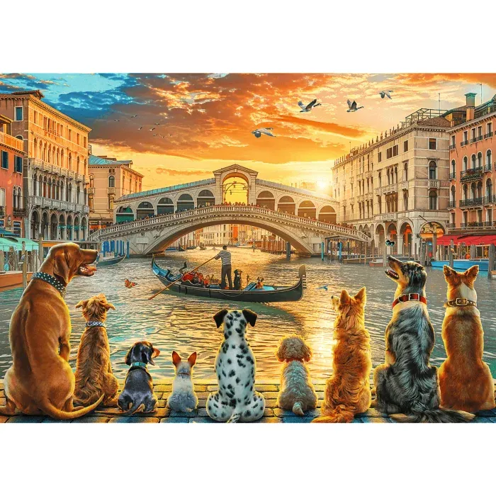 Hunde in Venedig