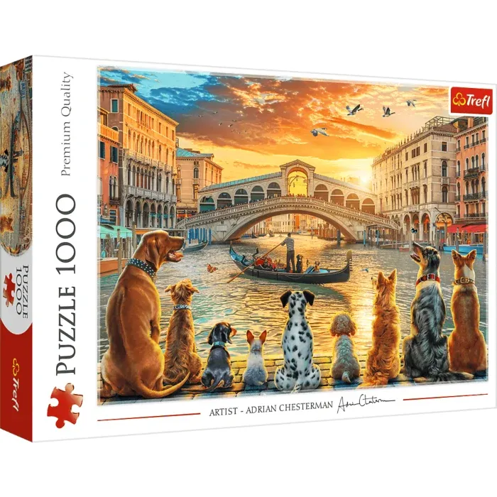 Hunde in Venedig